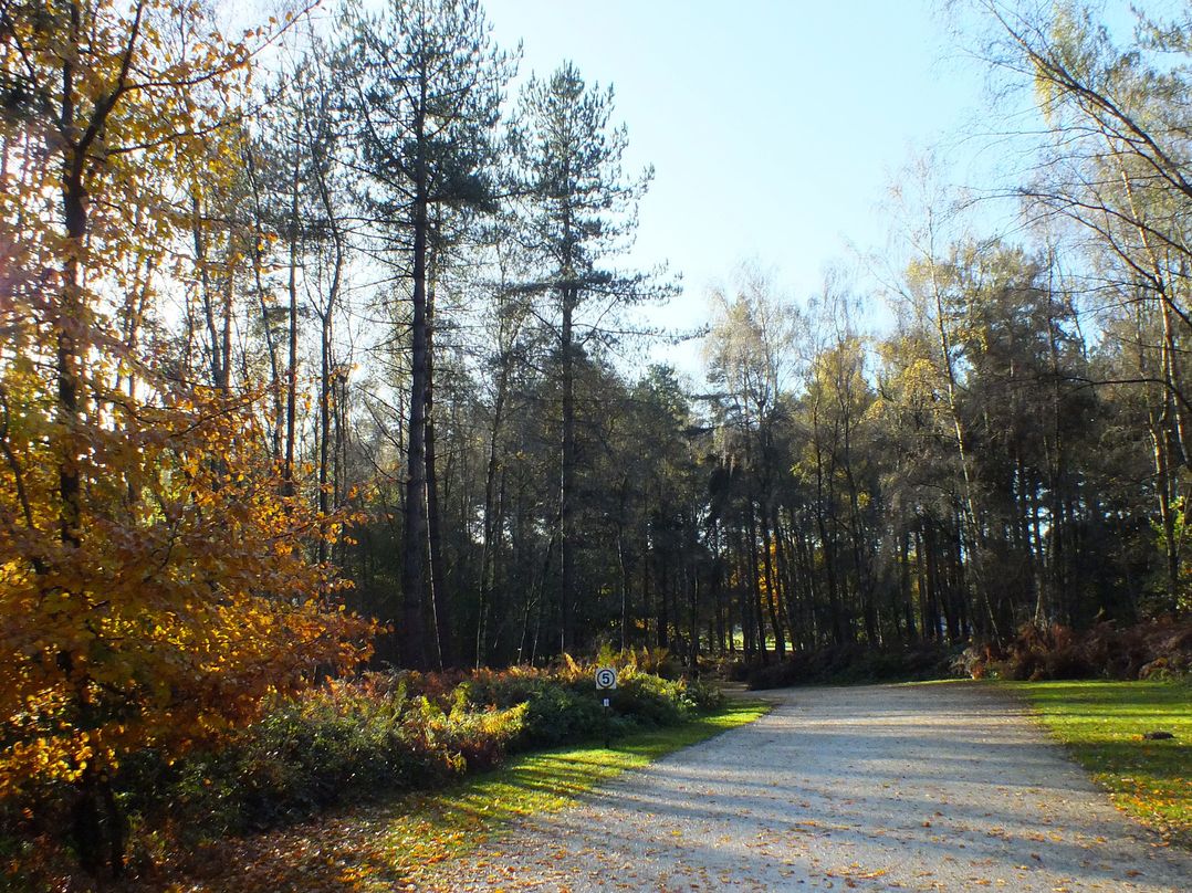 Sherwood Pines - Geodome