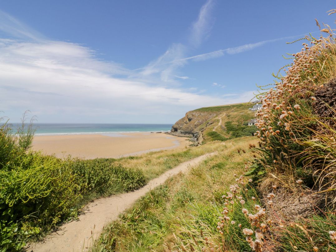 Cwtch Treth