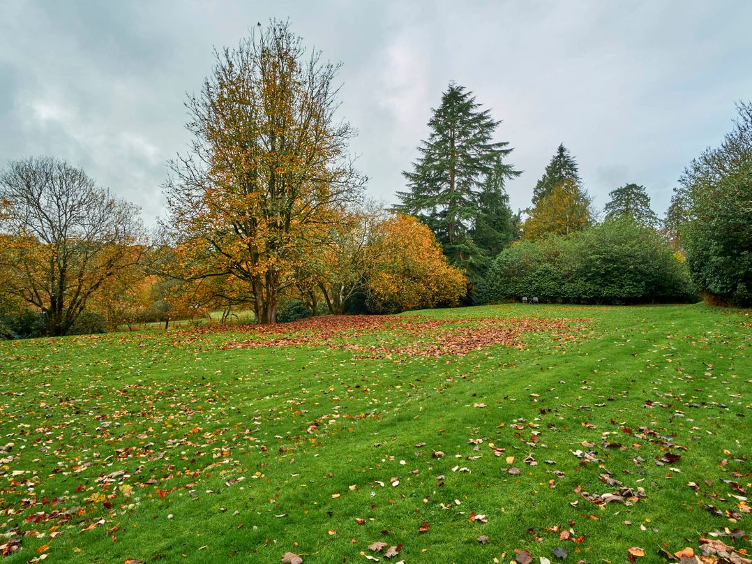Cabin for 2 - Wood Burning Hot Tub & Fire