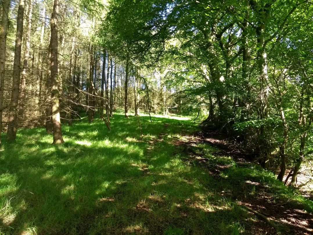 Cleeves Cabins 2, Arran Luxury Lodge with hot tub