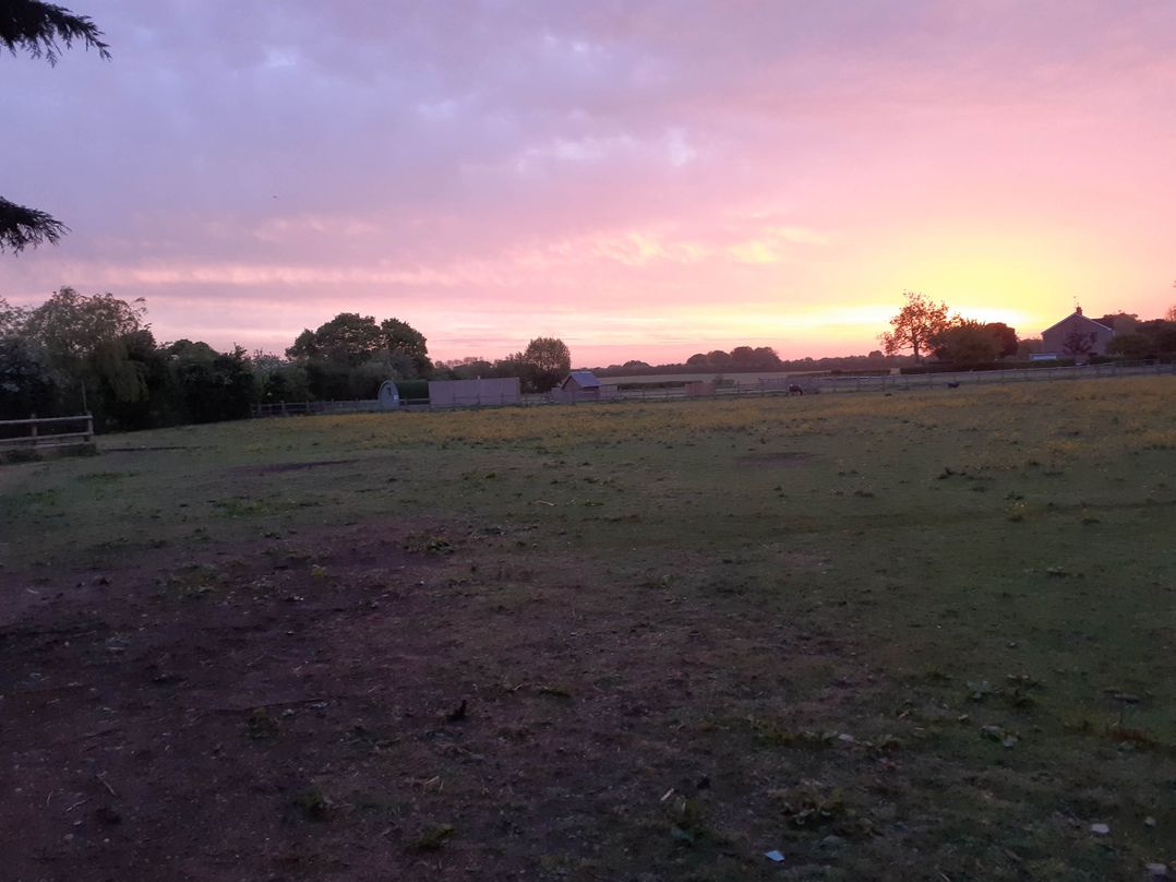 Glamping at the Retreat Wiltshire is rural bliss