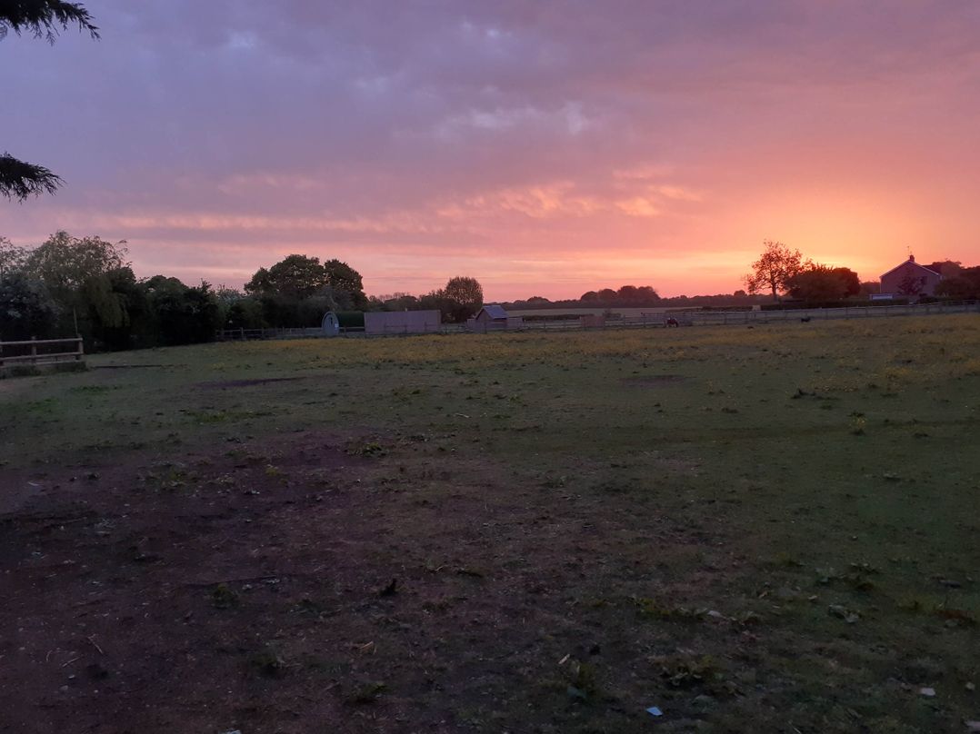 Glamping at the Retreat Wiltshire is rural bliss