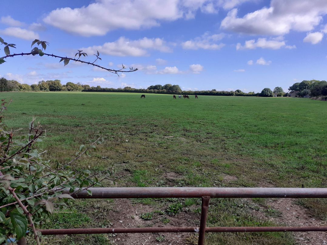 Glamping at the Retreat Wiltshire is rural bliss