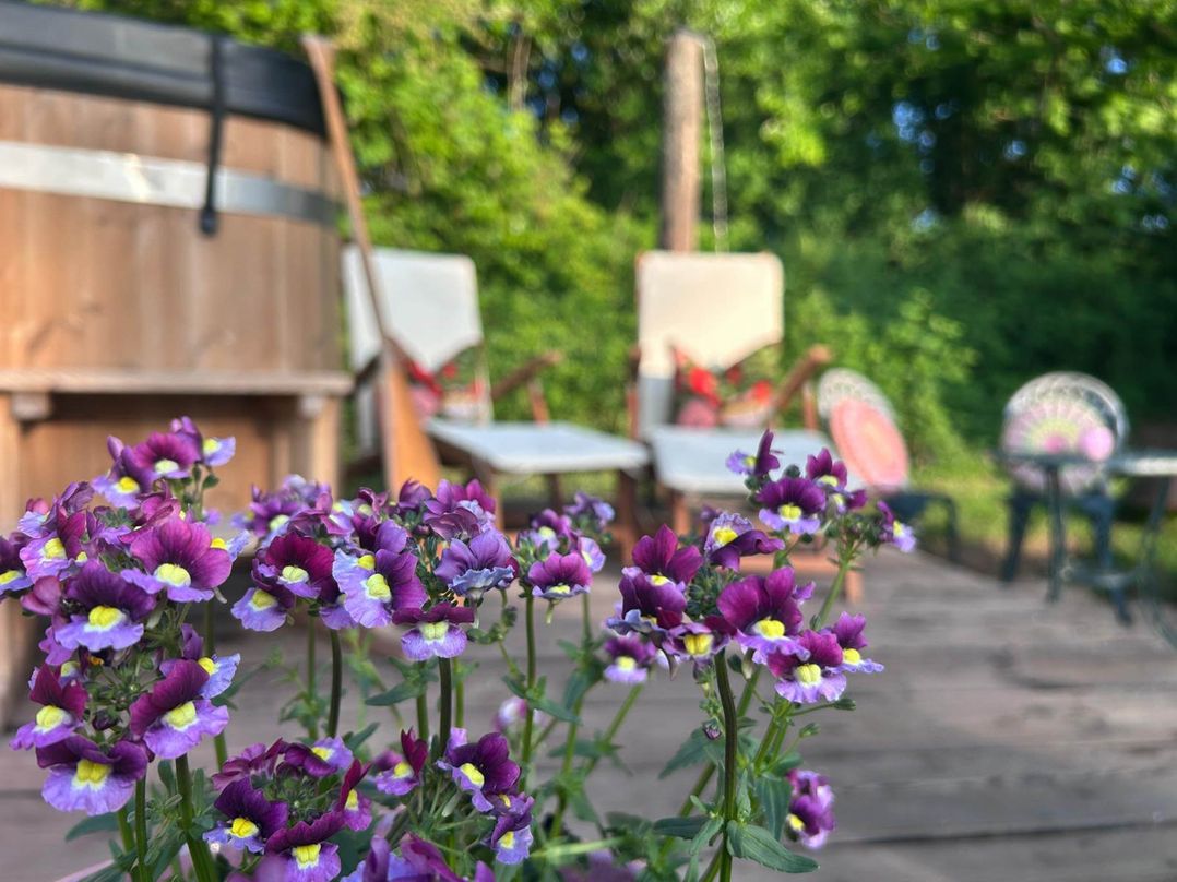 Cozy Cabin Retreat near Chepstow