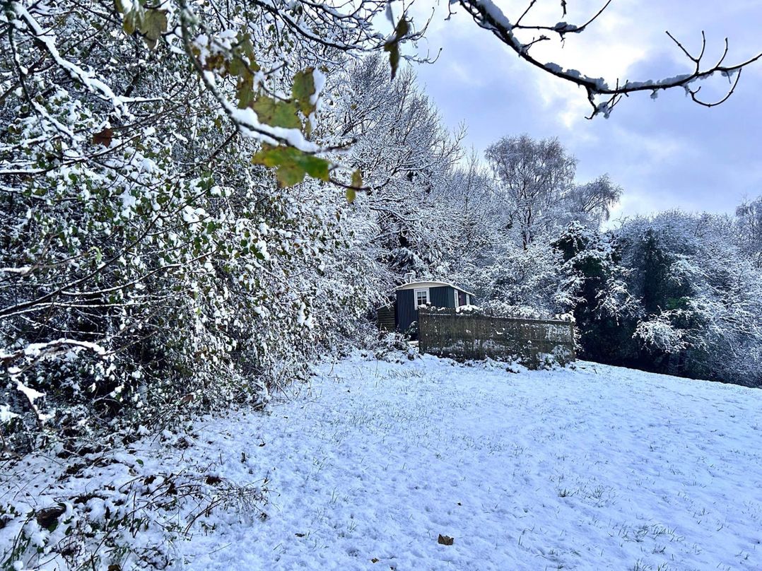 Cozy Cabin Retreat near Chepstow