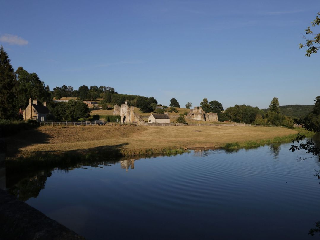 Natures Nest