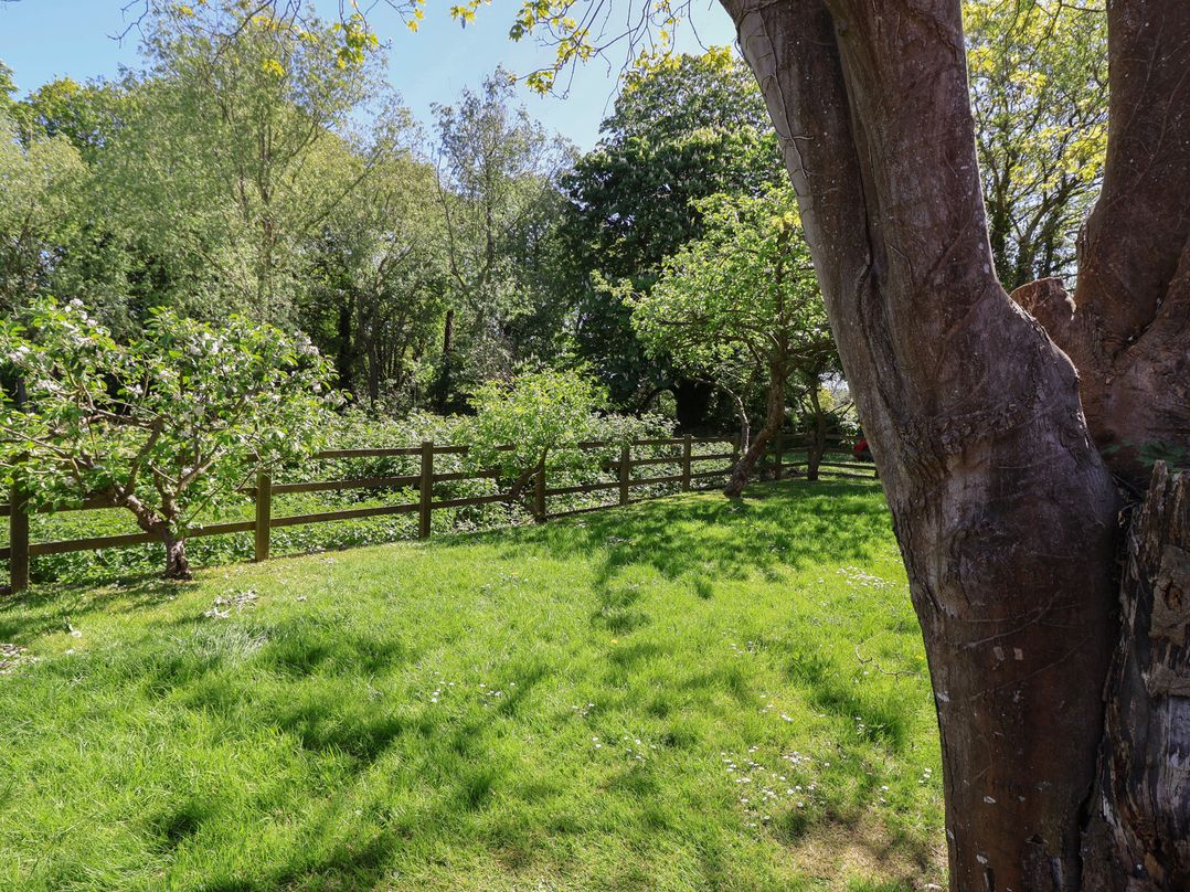 Walk House