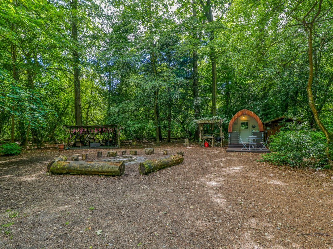Bluebell Glamping Pod