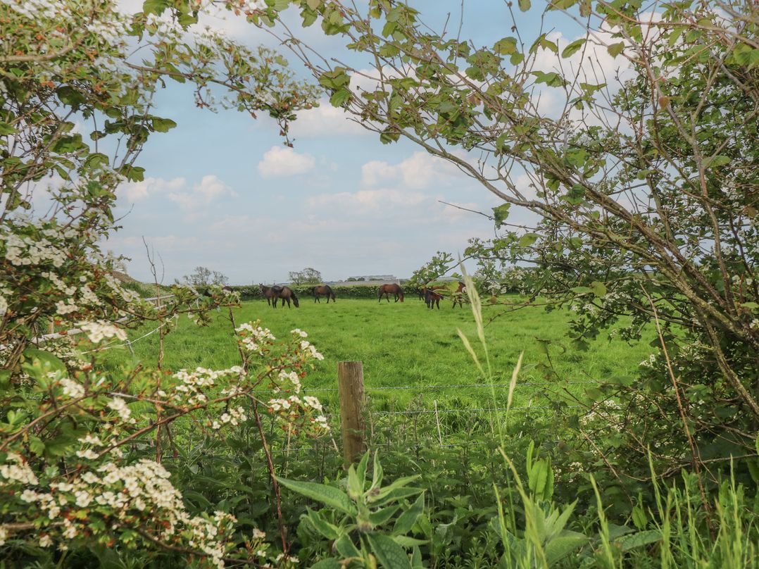 The Gallops