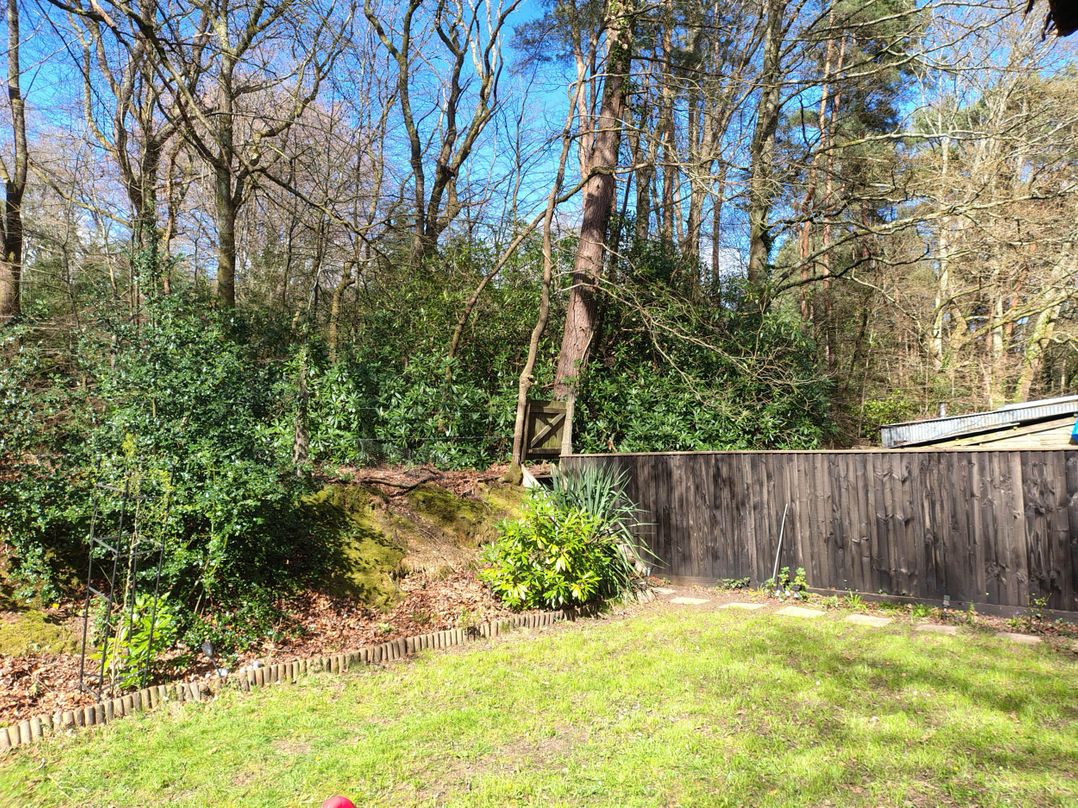 Forest Cabin Retreat-Sleeps 2-Garden, Wifi, Trails