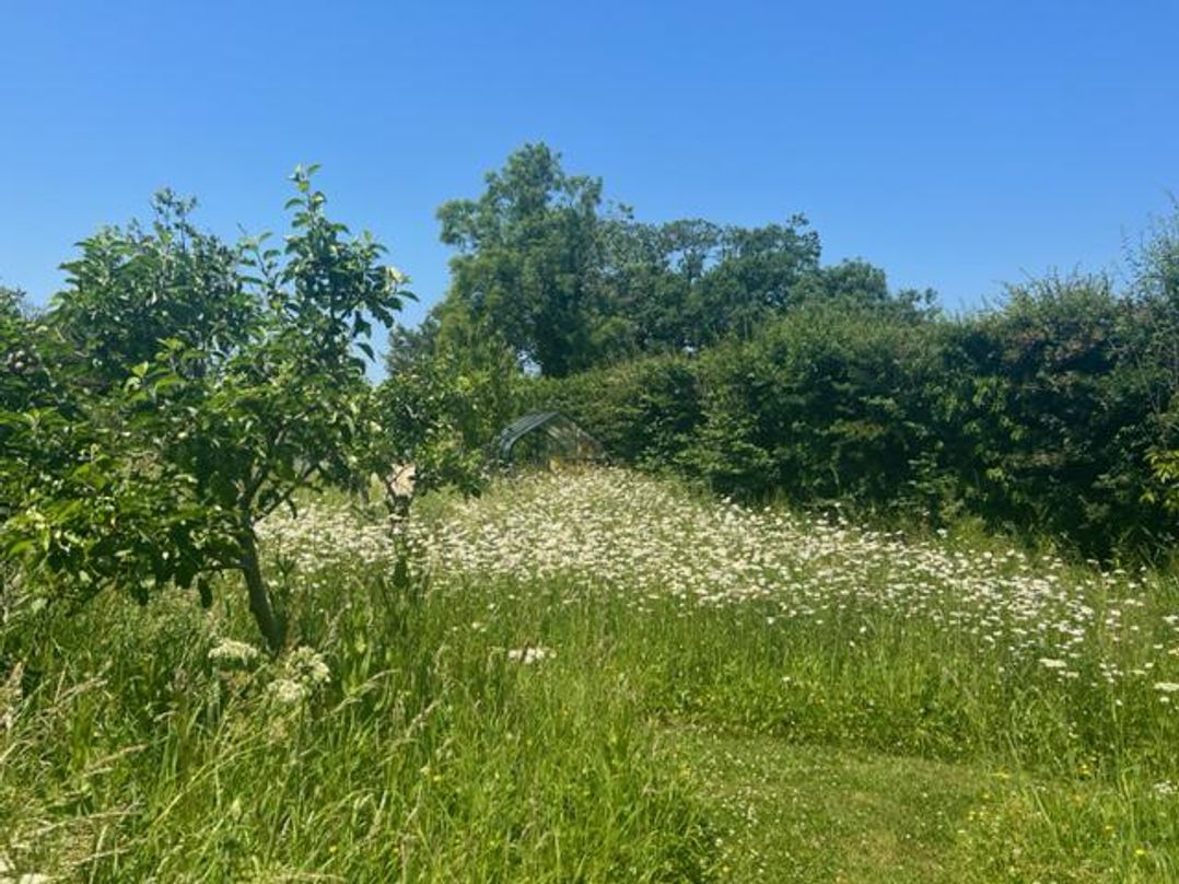 2 Guests Studio - Free Parking - Stunning Views