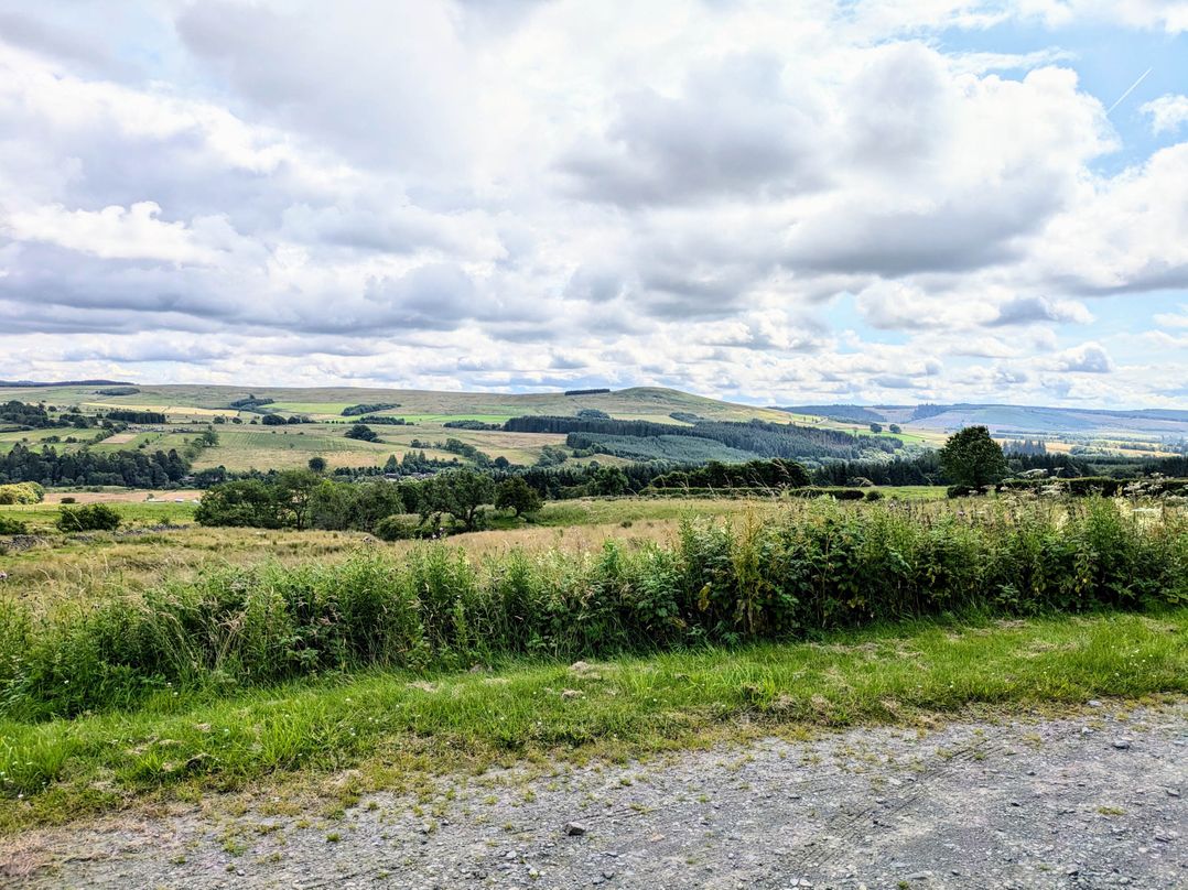 Pet Friendly - Lodge at Riverview Holiday Park