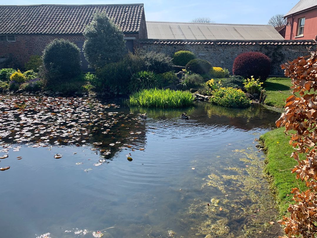 One bedroom barn with free parking