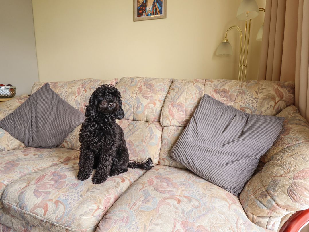 Cosy Home