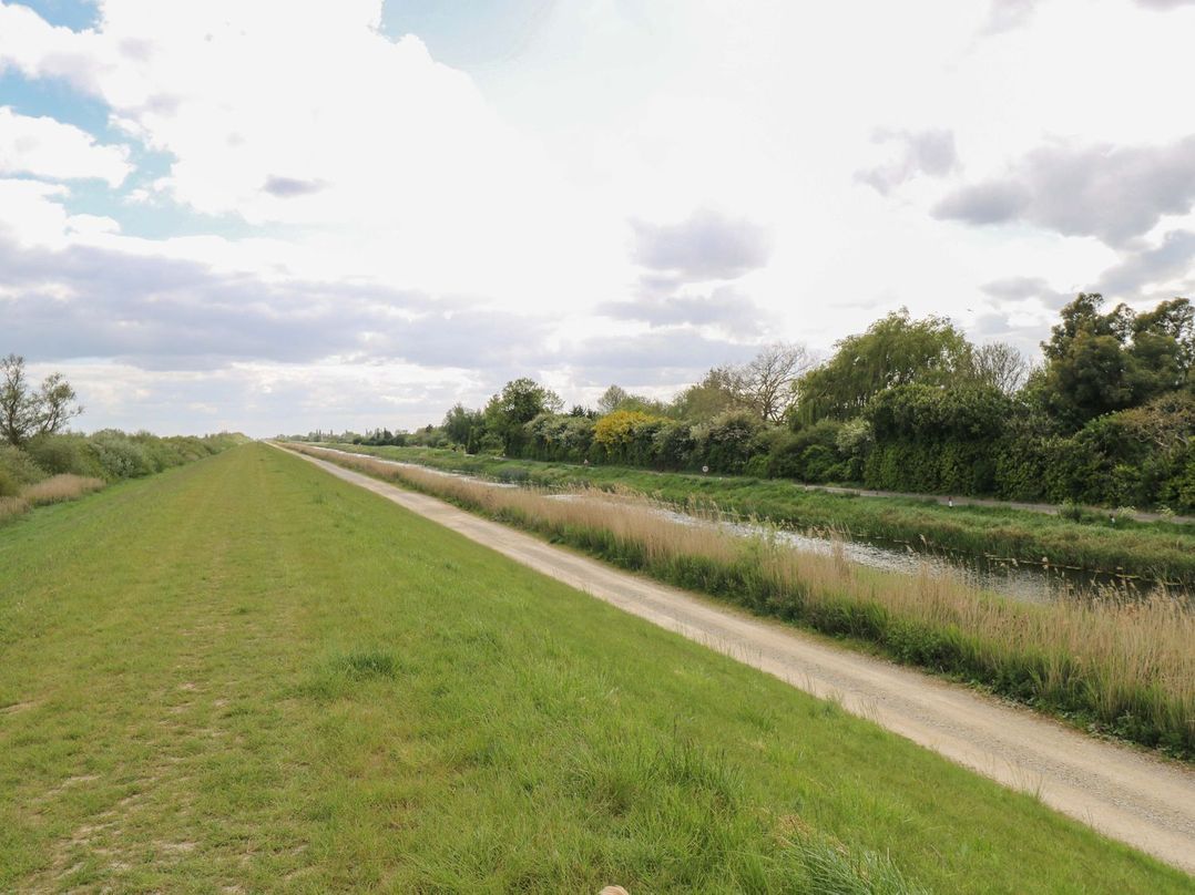 Laurel