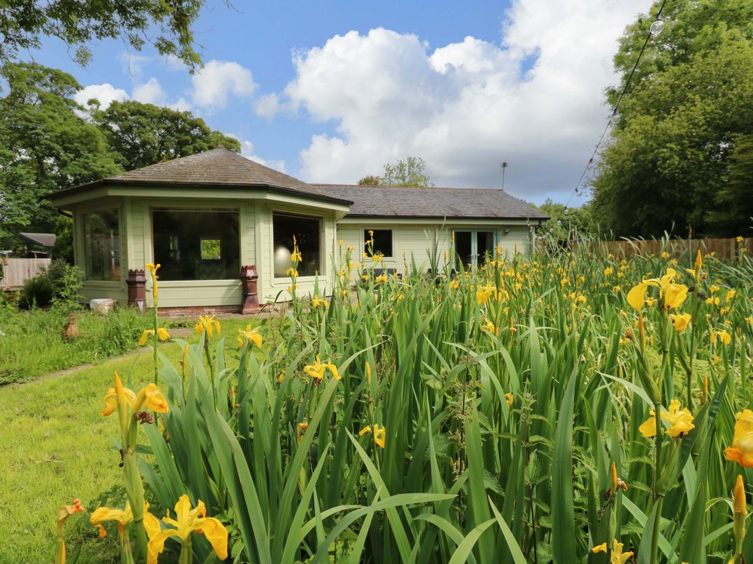 Bulrush Cabin