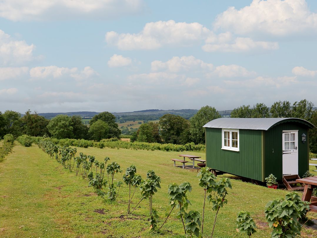 Shepherds Hut at East Hill Pride