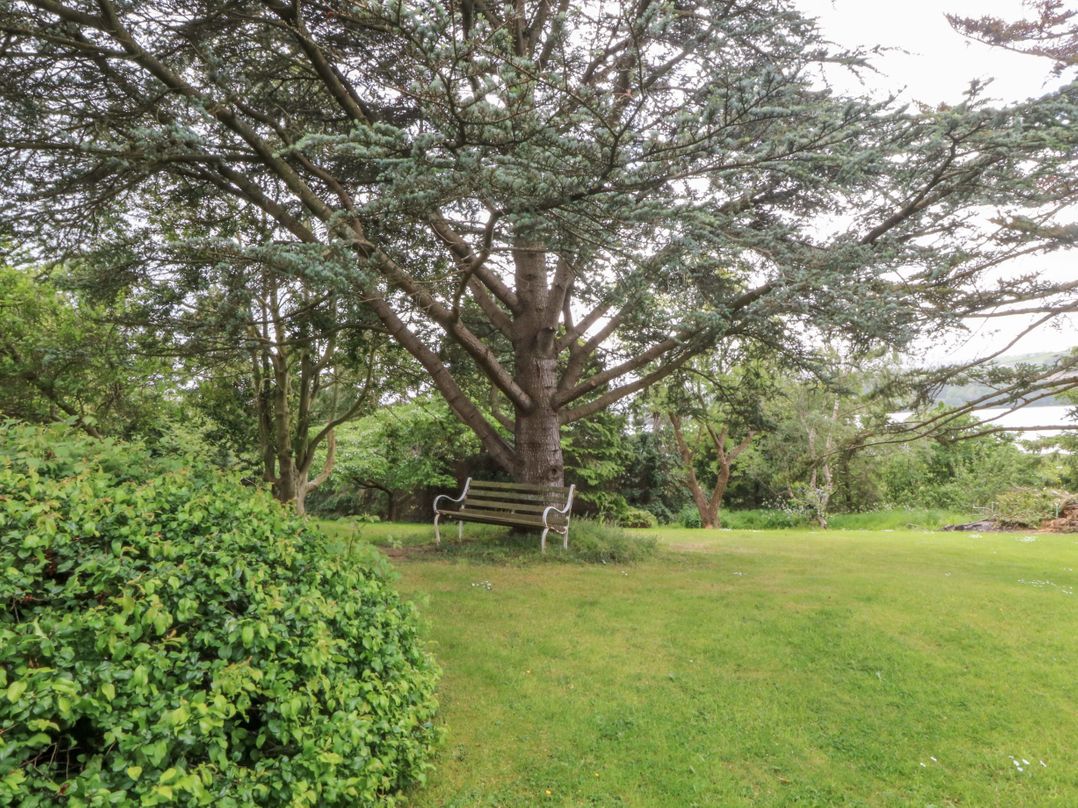 The Treehouse