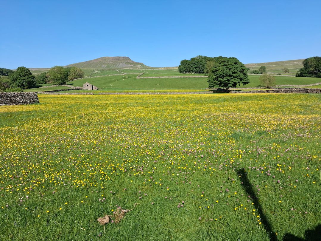 Beckdale
