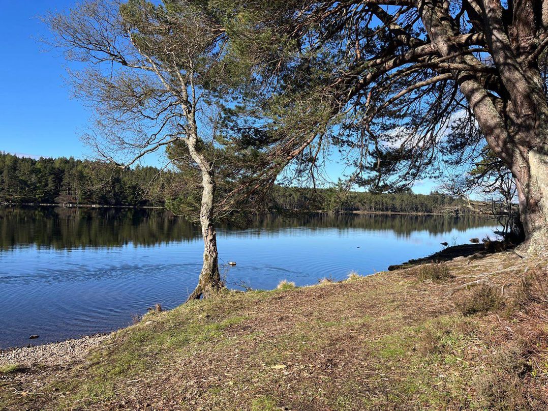 Migdale Heights - Luxury Cabins in The Highlands