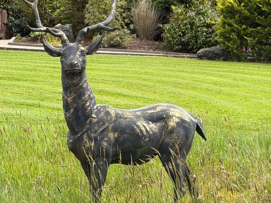 Alken The Stag