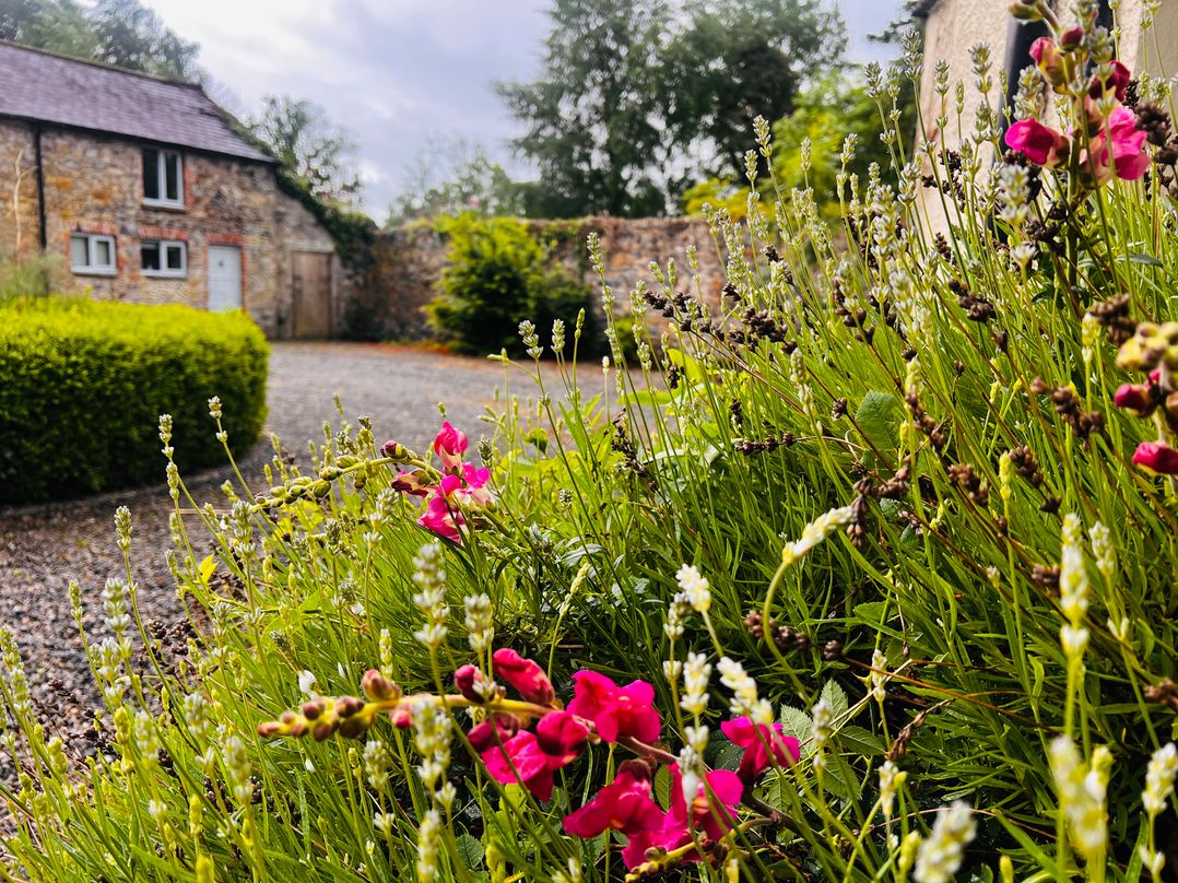 The Coach House Cottage