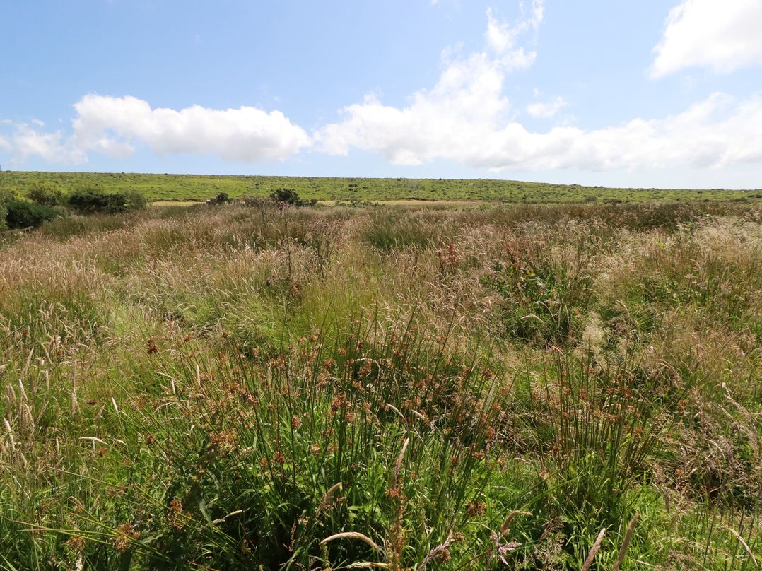 Moorland Retreat