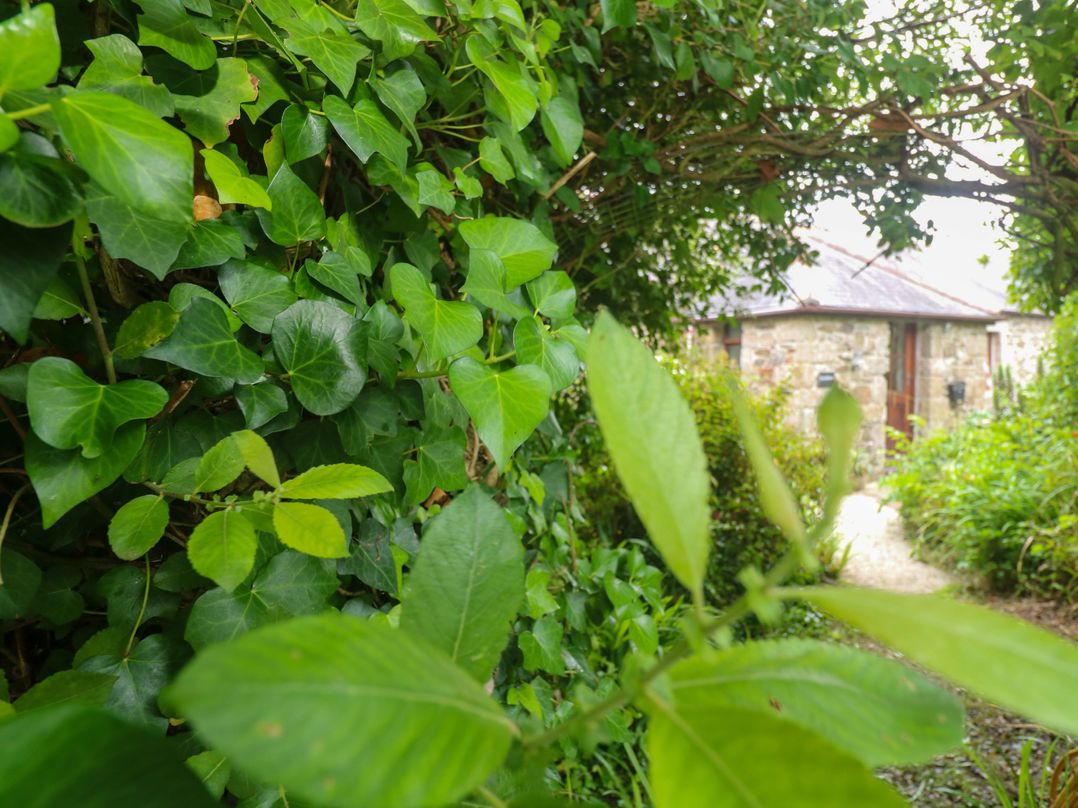 Swallow Cottage