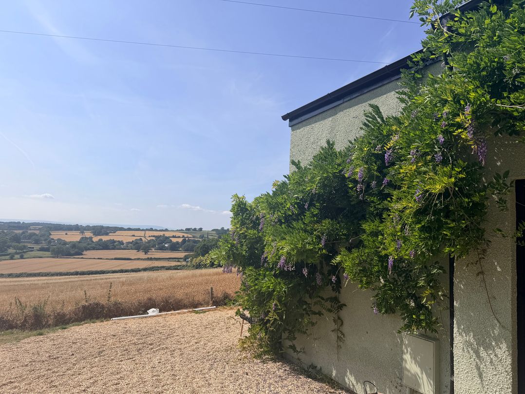 Providence Cottage