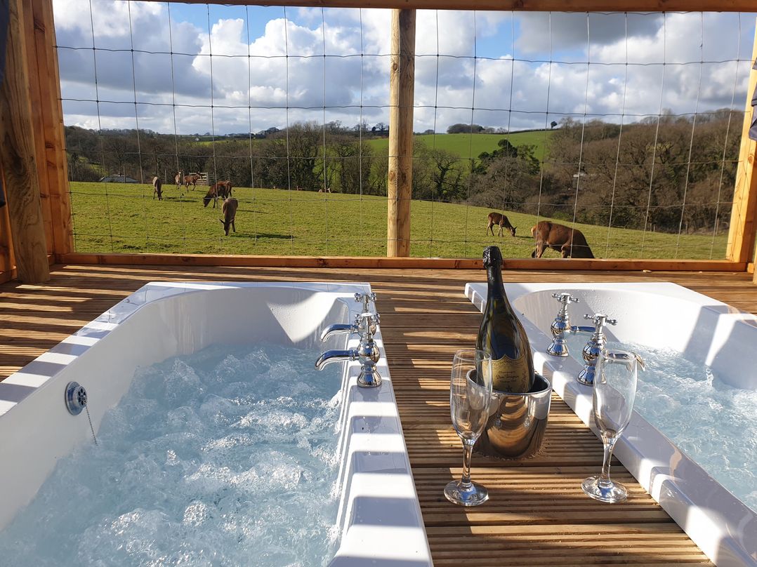 Luxury Safari Lodge Sleeps 4/6 Deer Park Dogs Ok
