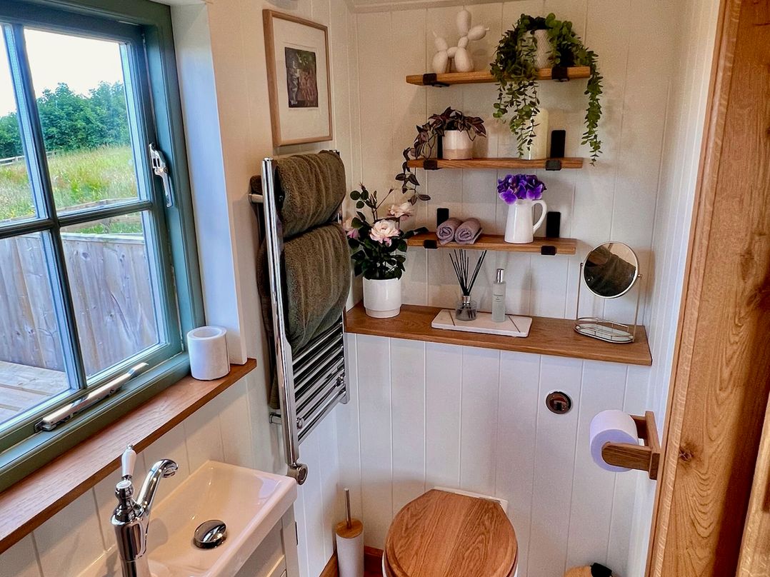 Olive Hut