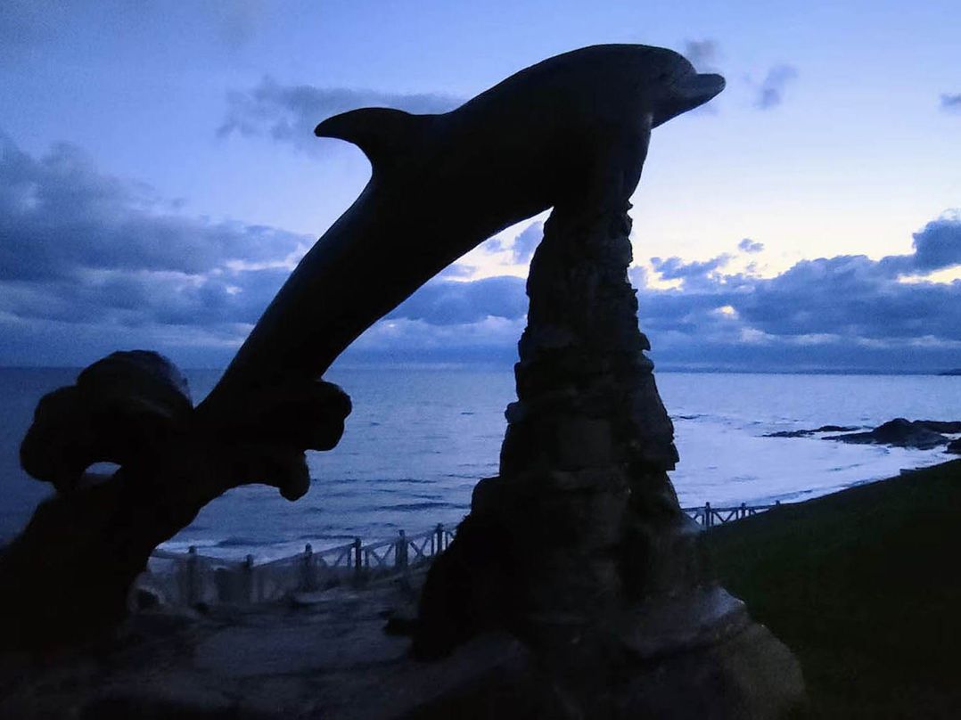 Aberporth 2 Bed Cottage Sleeps 4 Pet Friendly