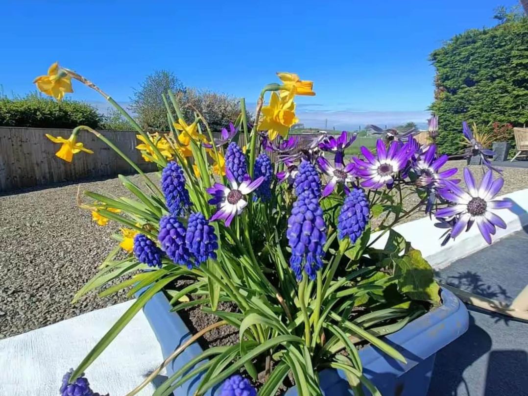 Aberporth 2 Bed Cottage Sleeps 4 Pet Friendly