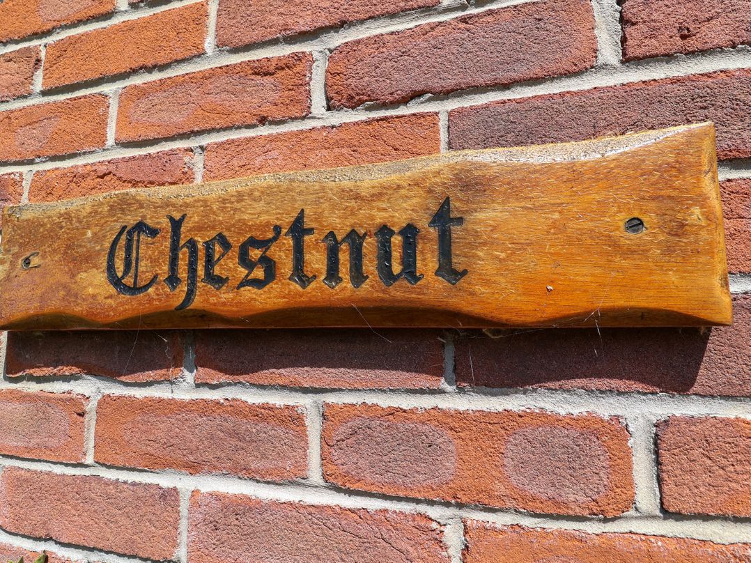 Chestnut