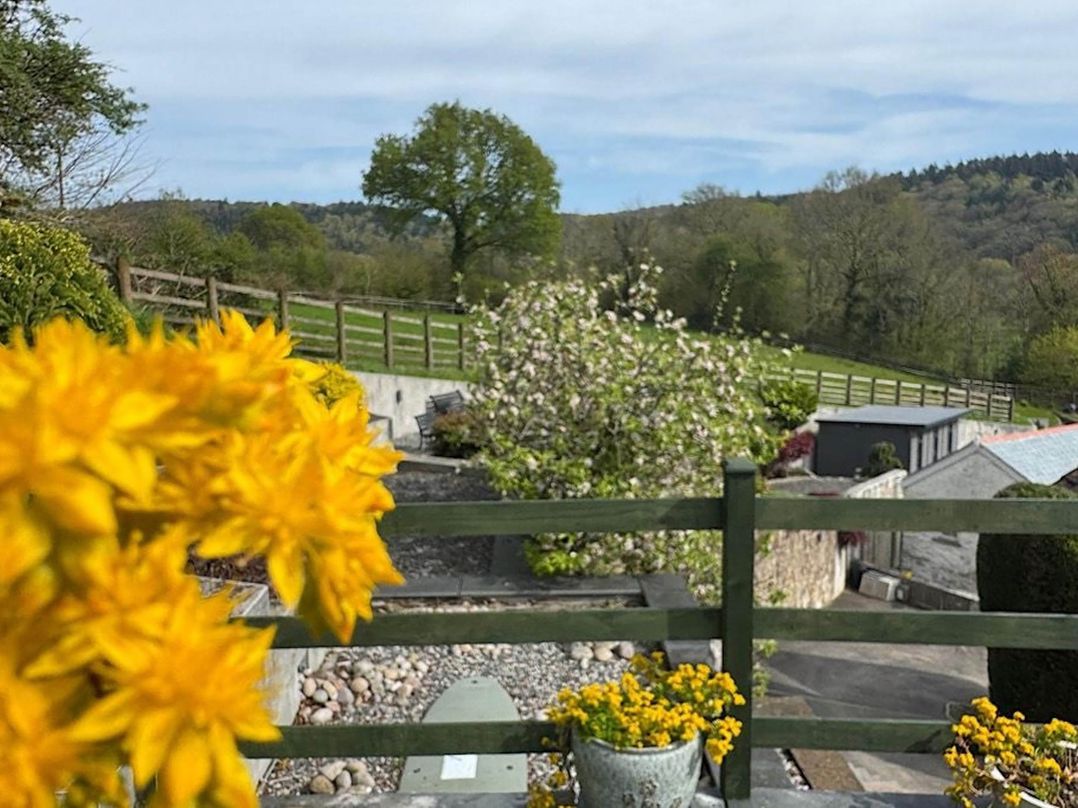River Tamar Couples Retreat Dog Friendly