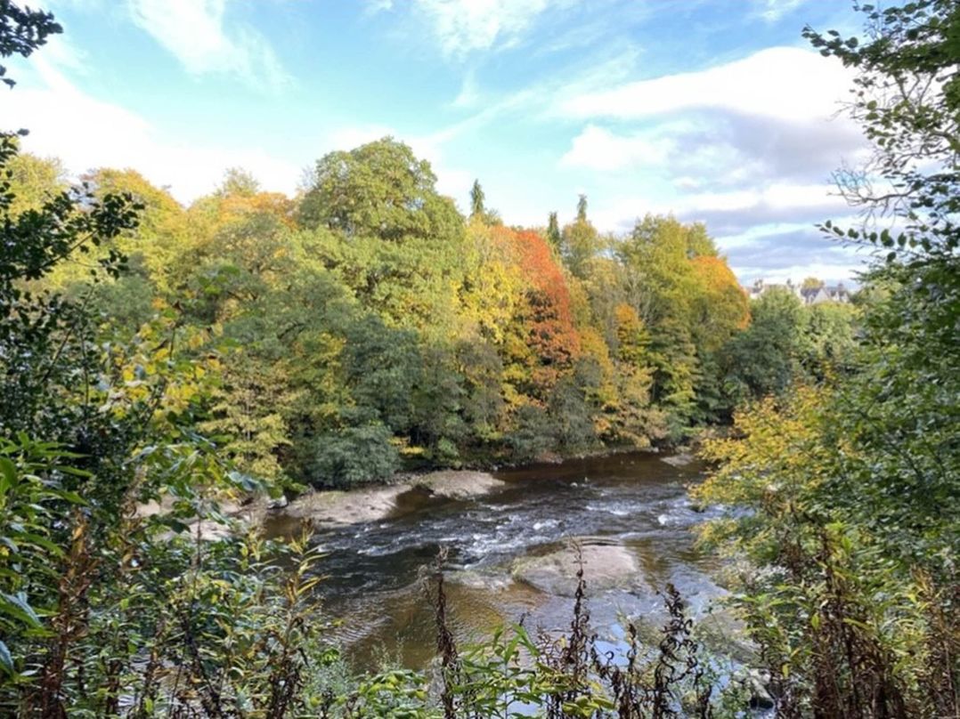 Blairgowrie Luxury 3 Bed Lodge with Hot Tub