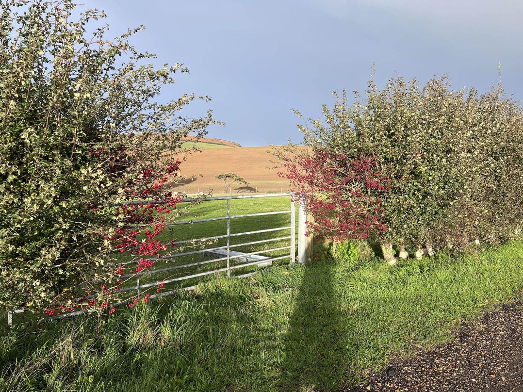Poachers Hut 1Bed Cottage Sleeps 2 Pet Friendly