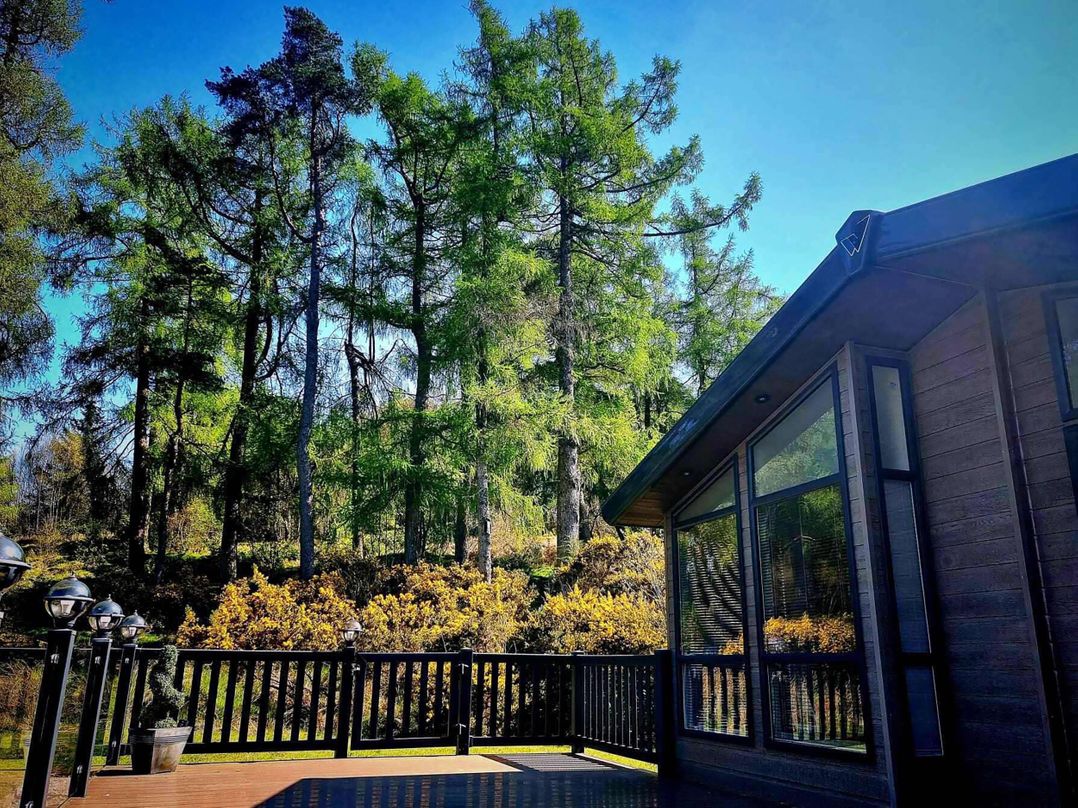 Dunoon 3Bed Lodge Sleeps 6 Pet Friendly