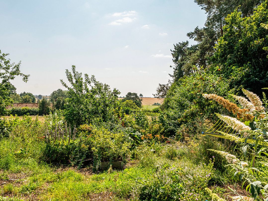 Alpaca Farm Valley Views Sleeps 4 Parking Pets