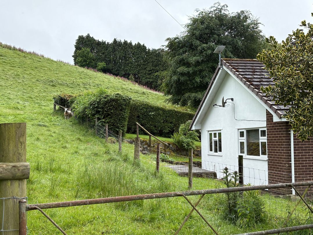 Saddleback Bungalow