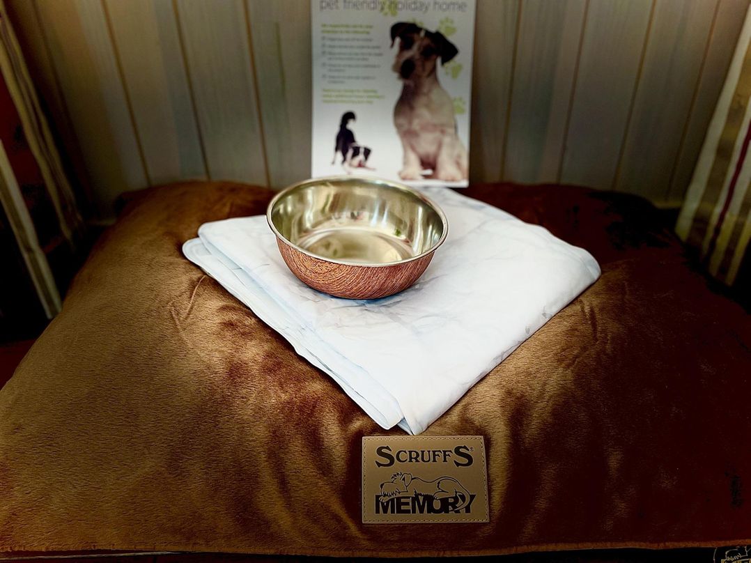 Stunning Sleeps 6 Luxury Lodge Pets Mercia Marina