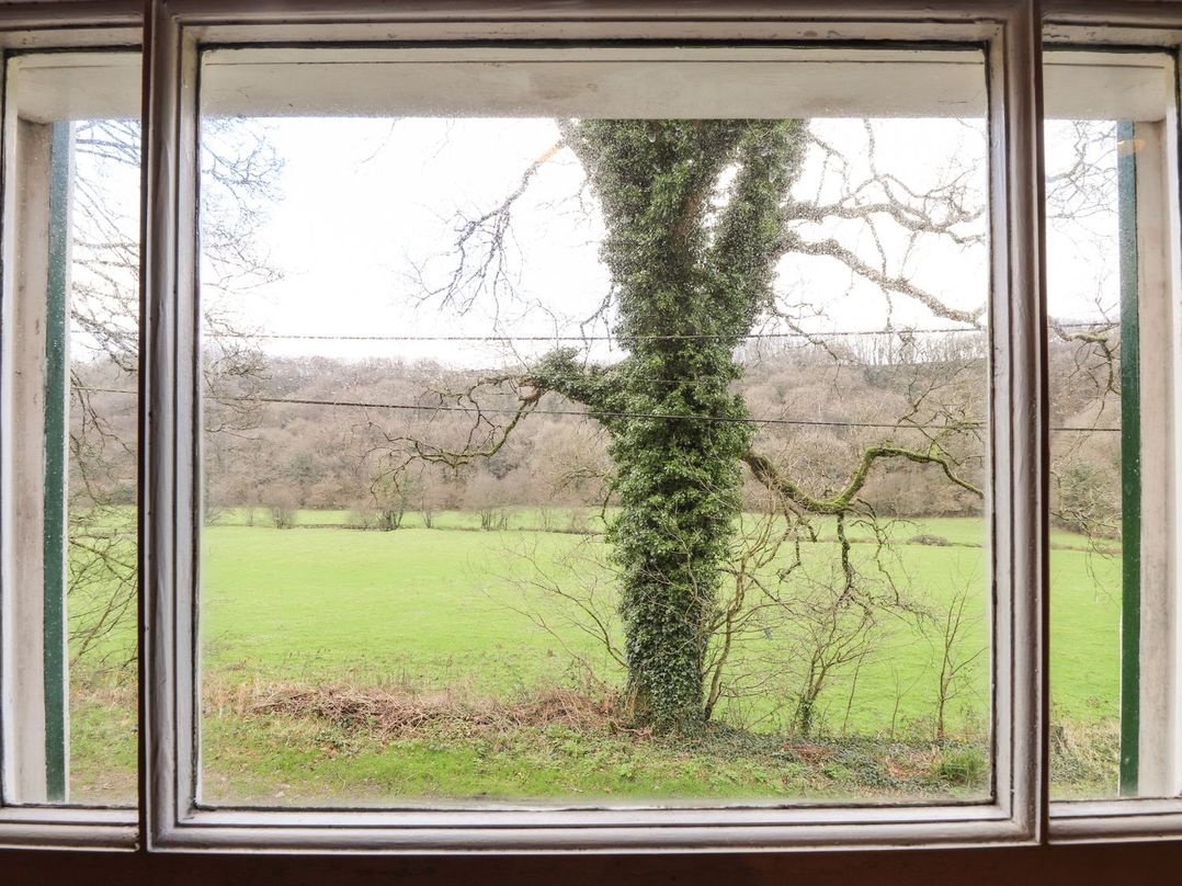 Llys Gwaun