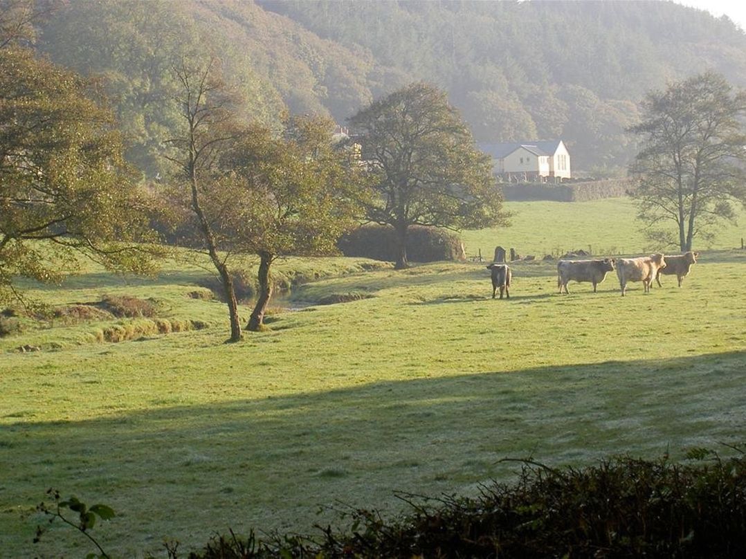 Llys Gwaun