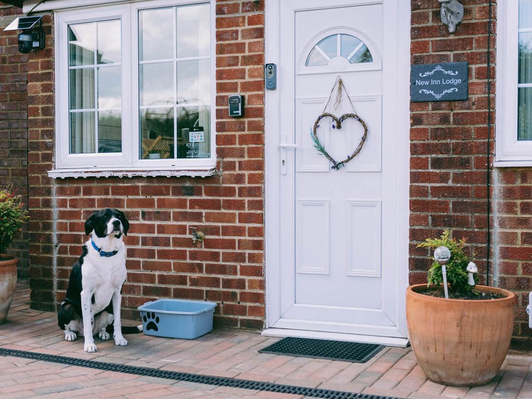 1 Bed Sleeps 3 Free Parking Pets Allowed