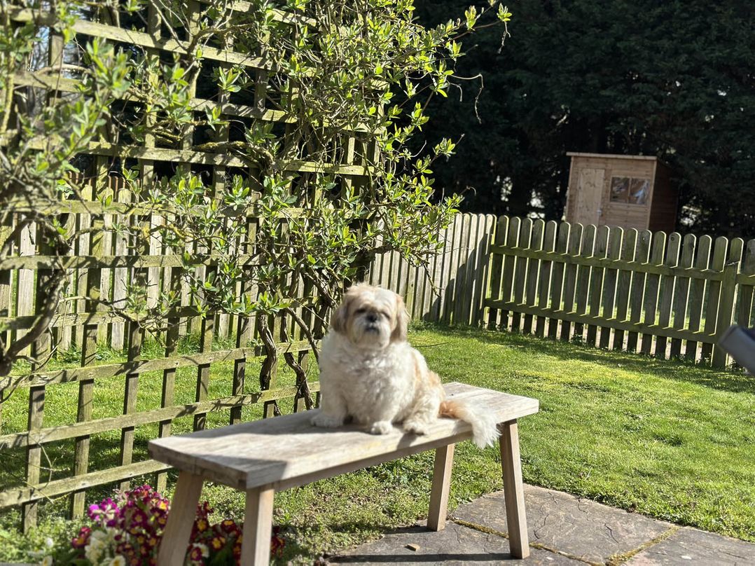 Cottage Sleep 4 Pet Friendly Enclosed Garden