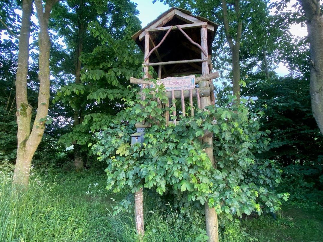 Pet Friendly 3Bed Barn Sleeps 7 Parking Garden