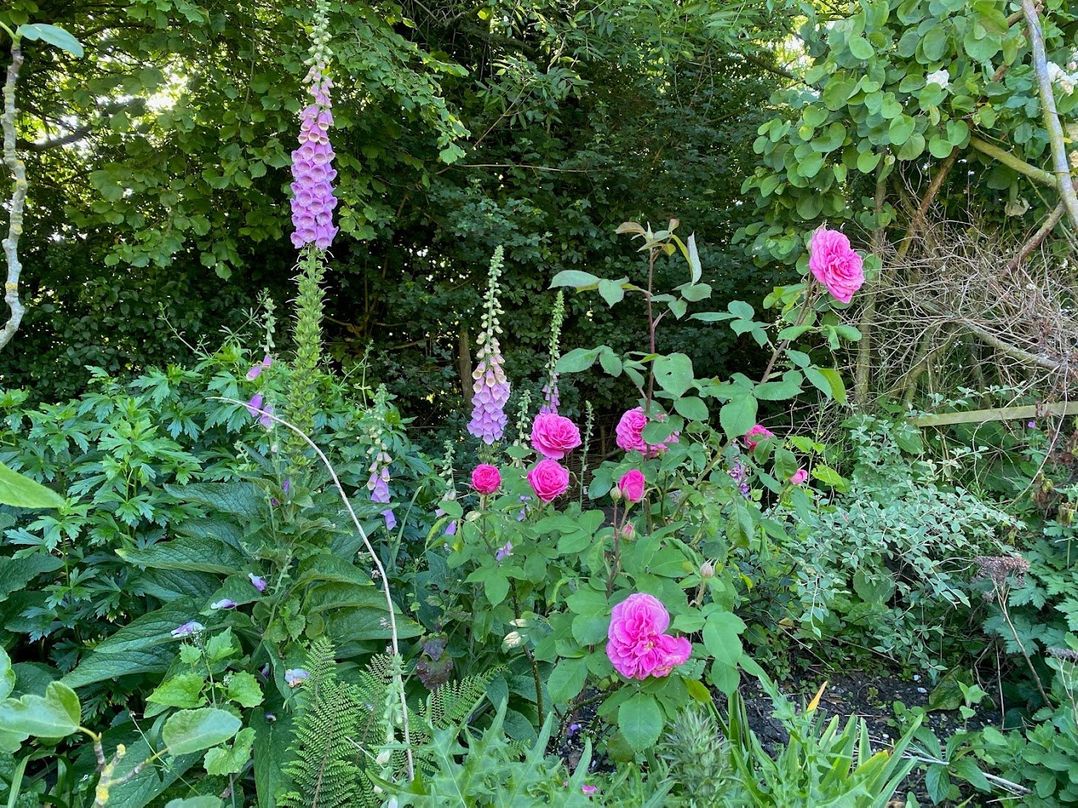 Pet Friendly 3Bed Barn Sleeps 7 Parking Garden