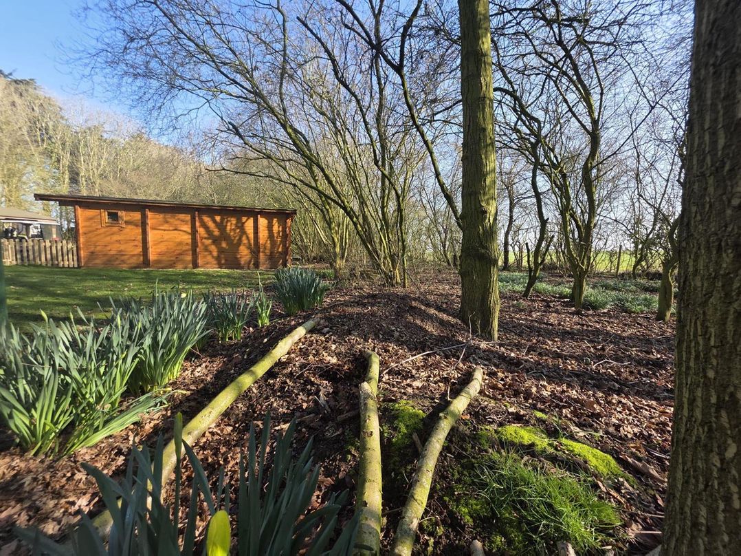Woodland View Dog Friendly  Nr Sutton on Sea