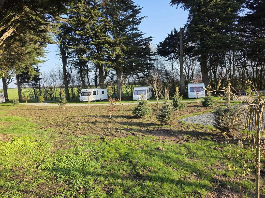Woodland View Dog Friendly  Nr Sutton on Sea