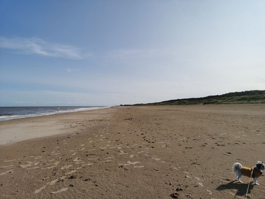 Sea activities Golden Sands beach relax
